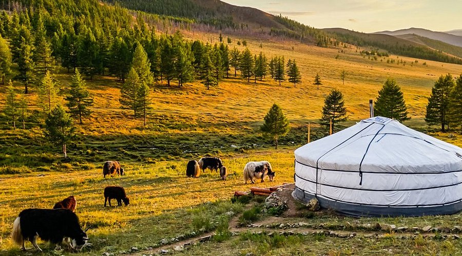 Mongolia