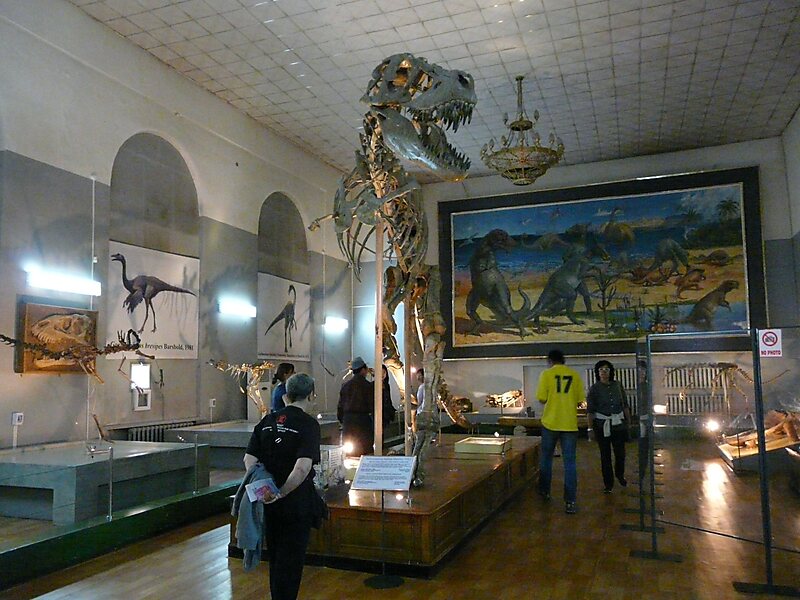 National History Museum